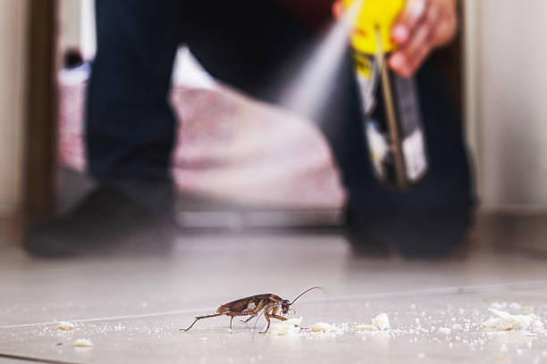 Professional Pest Control in Armona, CA