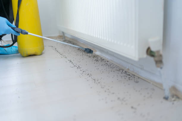 Best Cockroach Control Services  in Armona, CA