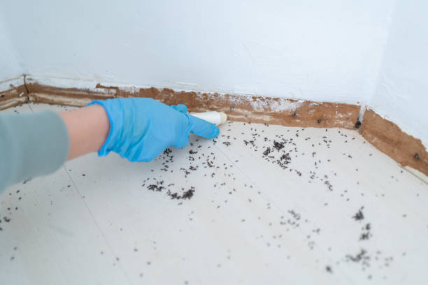 Best Wildlife Control Services  in Armona, CA