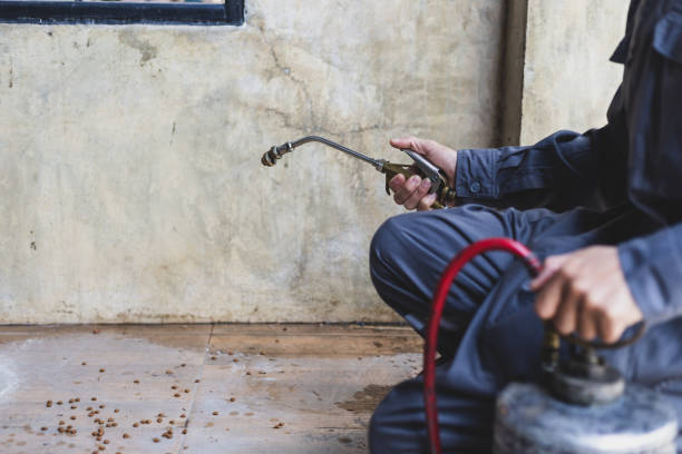 Best Affordable Pest Control Services  in Armona, CA